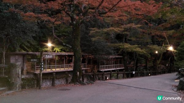 大板打咭風景不絕，處處是景點，主题cafe有趣好玩，樂而忘返...