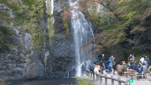 大板打咭風景不絕，處處是景點，主题cafe有趣好玩，樂而忘返...