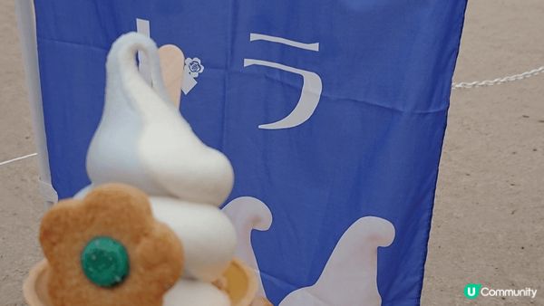 圖片係4月喺東京茨城縣國營常陸海濱公園拍攝的， 蝶豆花近睇好...