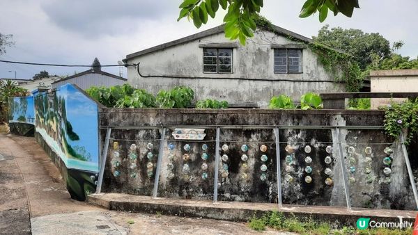 【坪輋打鼓嶺行山篇】壁畫村、噹噹石、古樟樹、長山古寺、公主山