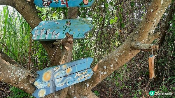 【坪輋打鼓嶺行山篇】壁畫村、噹噹石、古樟樹、長山古寺、公主山