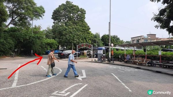 【坪輋打鼓嶺行山篇】壁畫村、噹噹石、古樟樹、長山古寺、公主山
