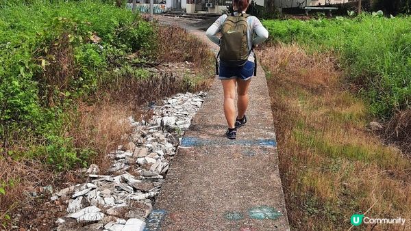 【坪輋打鼓嶺行山篇】壁畫村、噹噹石、古樟樹、長山古寺、公主山