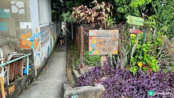 【坪輋打鼓嶺行山篇】壁畫村、噹噹石、古樟樹、長山古寺、公主山