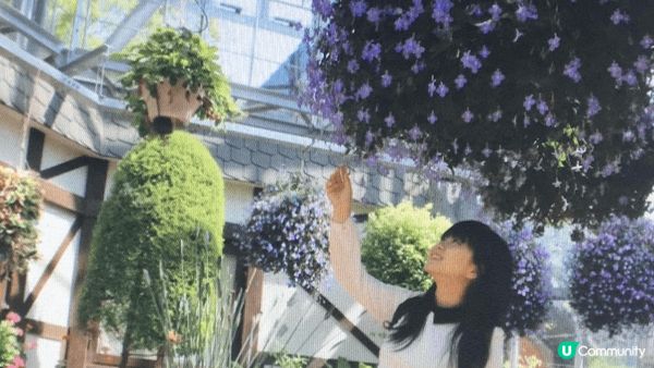 好多韓國地方尤其各商場已經開始裝飾聖誕佈置，今次仲要咁岩遇到...