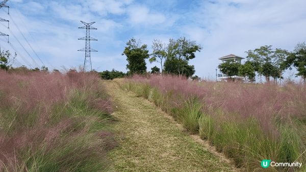 深圳陌上花公園