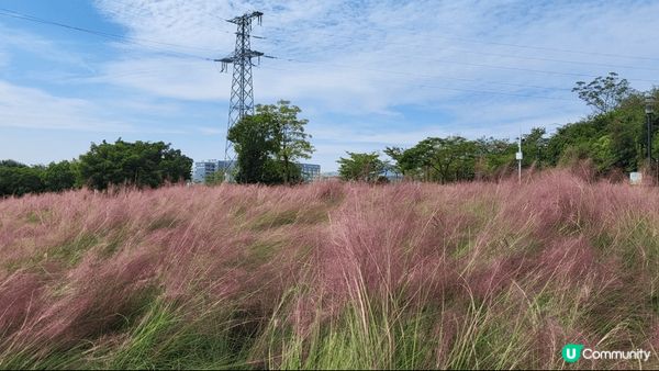 深圳陌上花公園