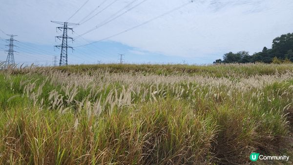 深圳陌上花公園