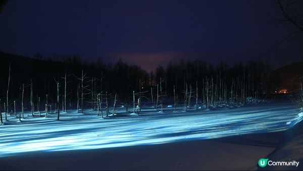 這個地方是北海道美瑛青池的冬季限定點燈，是另一種欣賞青池的好...