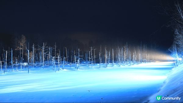 這個地方是北海道美瑛青池的冬季限定點燈，是另一種欣賞青池的好...