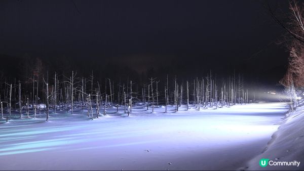 這個地方是北海道美瑛青池的冬季限定點燈，是另一種欣賞青池的好...