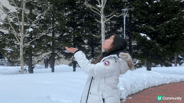 冬天去北海道，真係人生必去一次。正值下雪時，四周都佈滿了雪，...