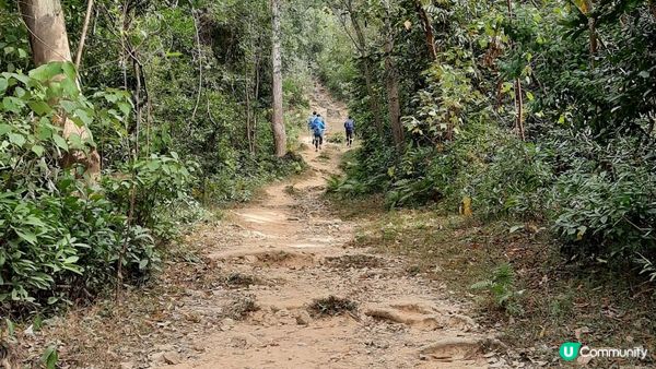 【石壁水塘至伯公坳行山篇】西狗牙、一線生機、閰王壁、小鳥回頭、斬柴坳、鳳凰山