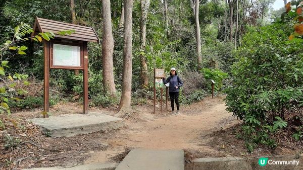 【石壁水塘至伯公坳行山篇】西狗牙、一線生機、閰王壁、小鳥回頭、斬柴坳、鳳凰山