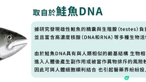 我俾Vivian 肥肥人燒咗，去咗打Rejuran麗珠蘭，效果真係……