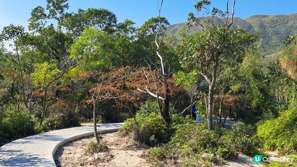 《西貢萬宜路至糧船灣行山篇》白腊村/白腊灣、白虎山下廢田、白虎山、馬頭環、沙橋、東丫