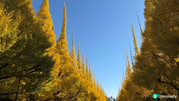 秋冬旅遊的打卡熱點，包括日本東京，橫濱和我們最愛的香港！
