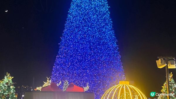 秋冬旅遊的打卡熱點，包括日本東京，橫濱和我們最愛的香港！