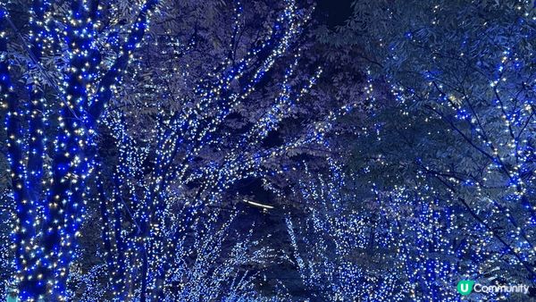 秋冬旅遊的打卡熱點，包括日本東京，橫濱和我們最愛的香港！