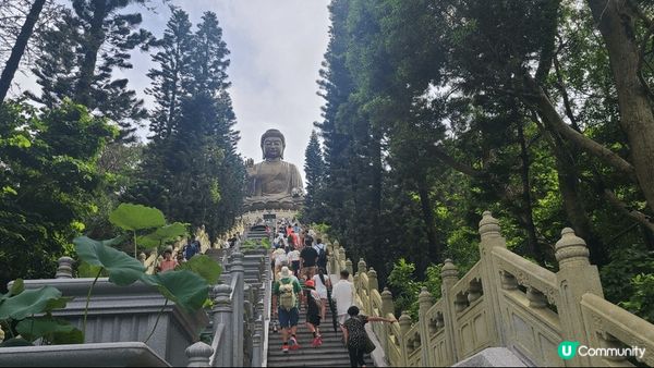 天壇大佛係一個洗滌心靈的好地方。坐纜車可睇到好靚的風景。#我...