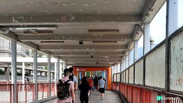 【荃灣行山篇】光板田上村二段(壁畫村)➕下花山