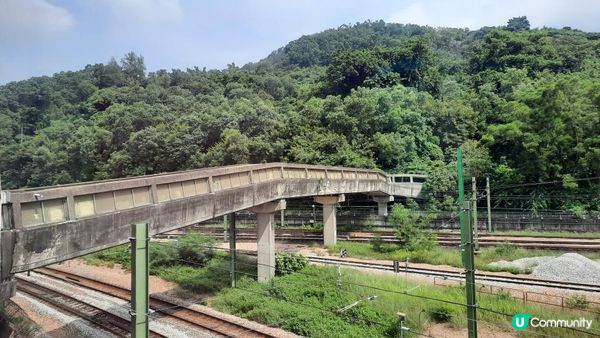 【荃灣行山篇】光板田上村二段(壁畫村)➕下花山