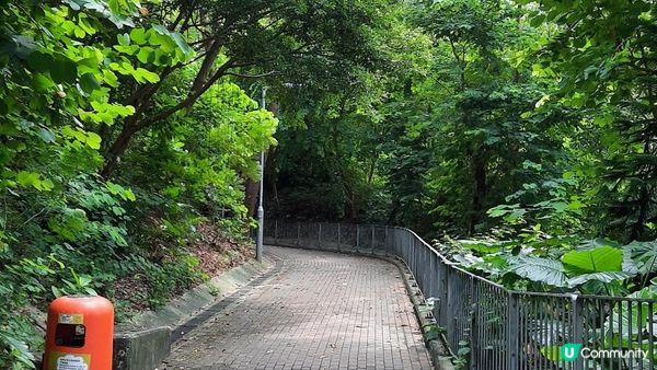 【荃灣行山篇】光板田上村二段(壁畫村)➕下花山