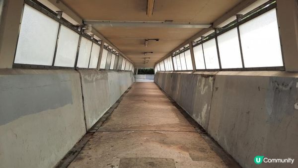 【荃灣行山篇】光板田上村二段(壁畫村)➕下花山