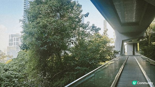 ## 金鐘打卡新地標 🔴