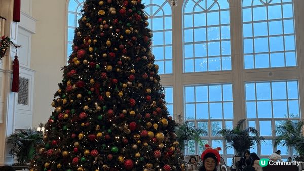 呢幾個係今個冬天仔仔玩得最開心嘅幾個地方，聖誕節去左迪士尼酒...