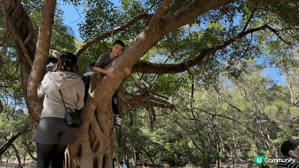 呢幾個係今個冬天仔仔玩得最開心嘅幾個地方，聖誕節去左迪士尼酒...