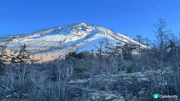 我和家人飛去日本旅行，簡直係我2024年尾最難忘的假期！😍 ...