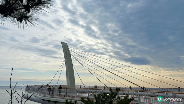 韓版櫻木花道平交道 skywalk 人氣打卡cafe