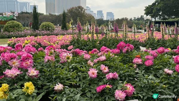 以上是澳門的龍環葡韻住宅式博物館和附近的濕地, 除了富有歷史...