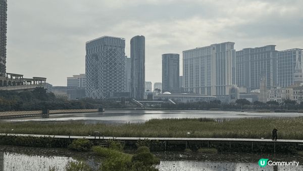 以上是澳門的龍環葡韻住宅式博物館和附近的濕地, 除了富有歷史...