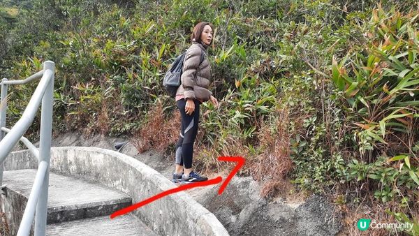 【畢拉山道至天后行山篇】懸空棧道、渣甸山、小馬山、龜石、紅香爐峰