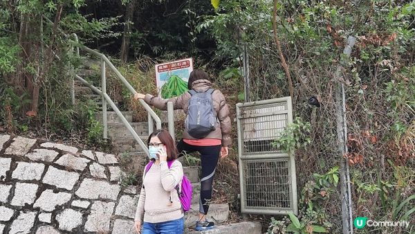 【畢拉山道至天后行山篇】懸空棧道、渣甸山、小馬山、龜石、紅香爐峰