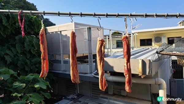 《大埔三門仔馬屎洲行山篇》鹽田仔、門樓頸沙洲、爛火坑墩、馬屎洲自然教育徑(綑