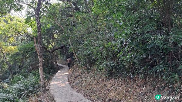 《大埔三門仔馬屎洲行山篇》鹽田仔、門樓頸沙洲、爛火坑墩、馬屎洲自然教育徑(綑