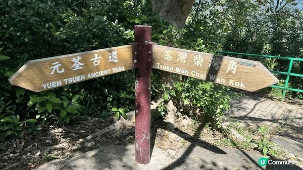 行山真係一個好消閒嘅活動，尤其係喺香港呢個石屎森林中，能夠搵...