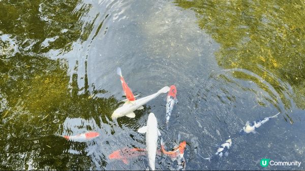 紅磡打卡好去處 @ 和黃公園。