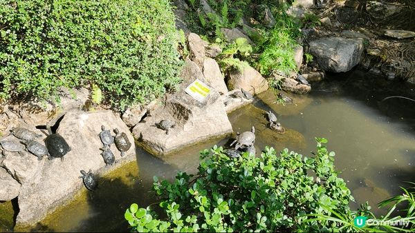 紅磡打卡好去處 @ 和黃公園。