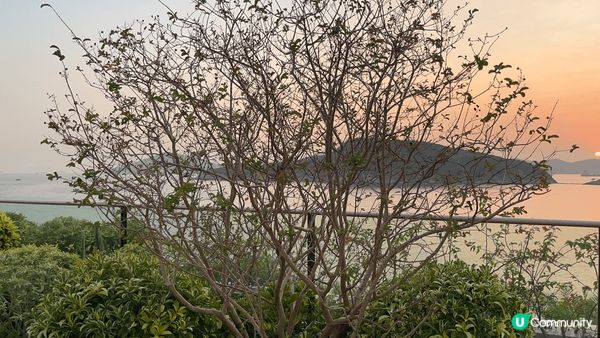 富麗敦酒店外無敵海景，仲可以睇到超靚既日落景色