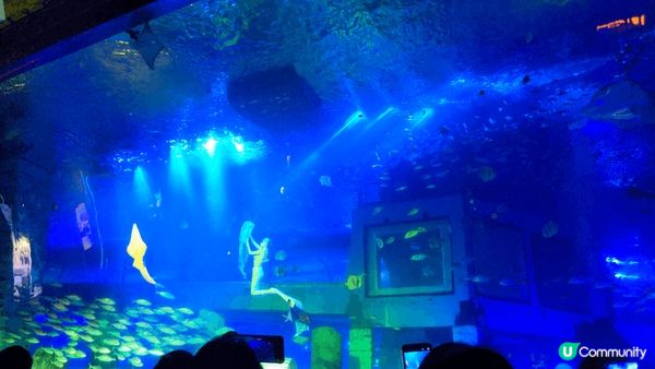 這是正佳廣場海洋館的美人魚，表演精彩，想不到商場內都有很多品...