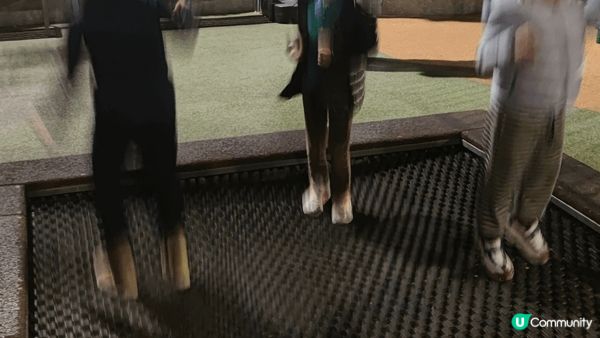 澳門觀音像海濱休憩區，有免費碰碰車玩，可以上網先預約，就算無...