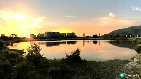 我想介紹呢個由水尾村再行入去至搵到嘅平湖, 因為有次去錦田俱...