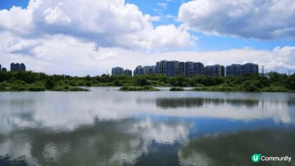 我想介紹呢個由水尾村再行入去至搵到嘅平湖, 因為有次去錦田俱...