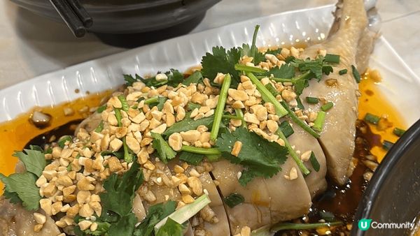 道地香港性價比美食，口水雞香辣誘人，燒味飯油香四溢，麻婆豆腐...