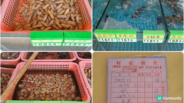 《深圳西涌天文台一日遊》天文台棧道+海岸石灘徒步