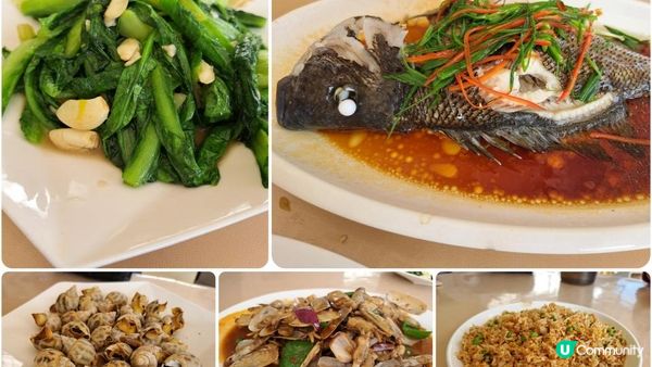 《深圳西涌天文台一日遊》天文台棧道+海岸石灘徒步